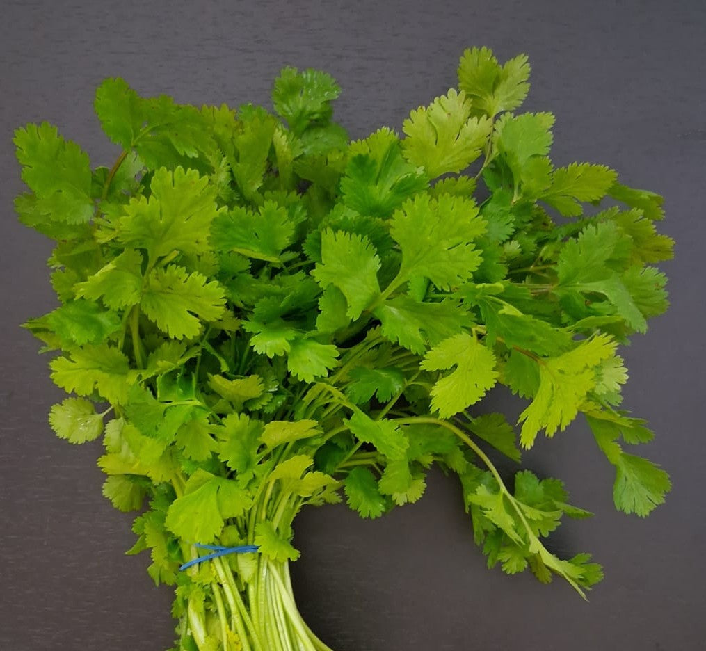 CORIANDER FRESH Bundle