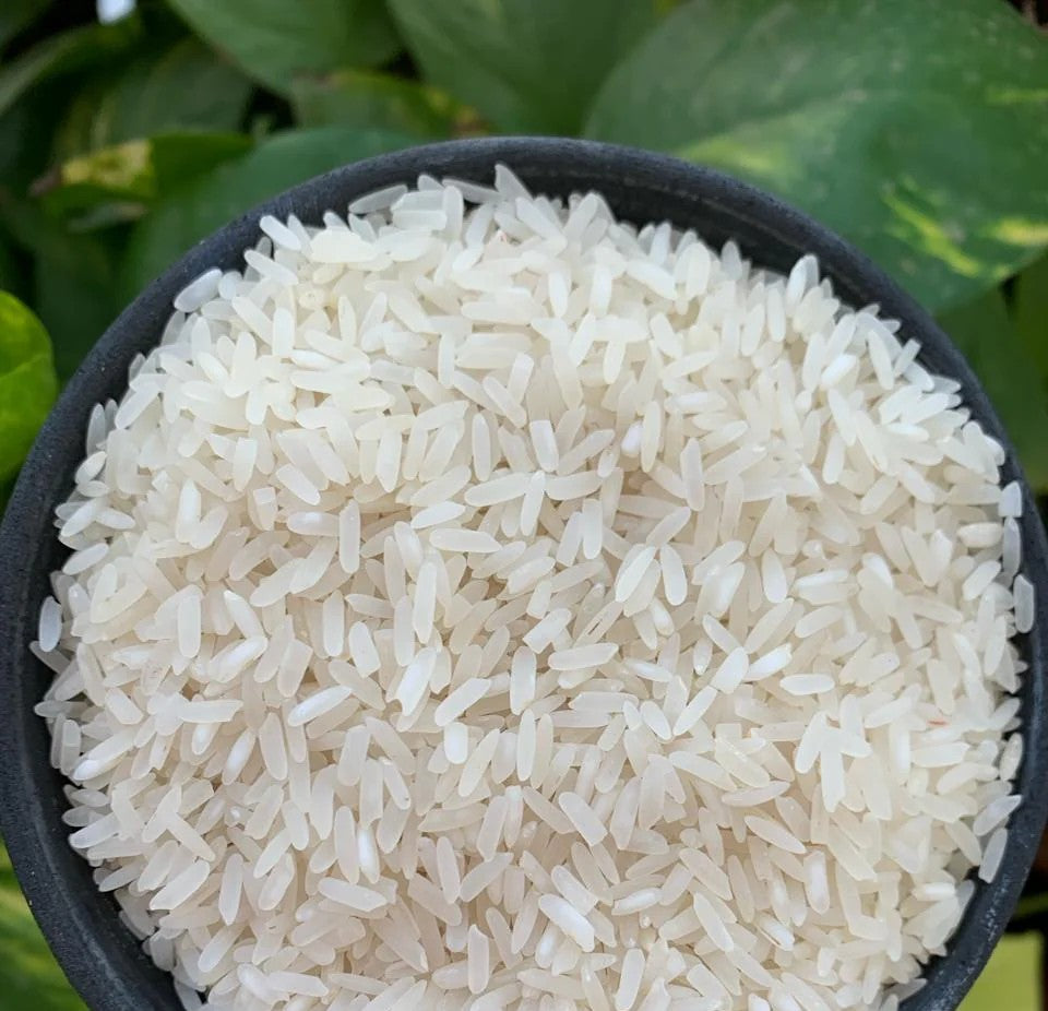 RICE