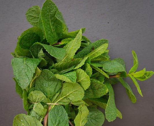 PUDINA (MINT) FRESH Bundle